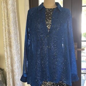 Express chiffon shirt top (two tops)